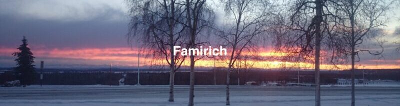 FamiRich